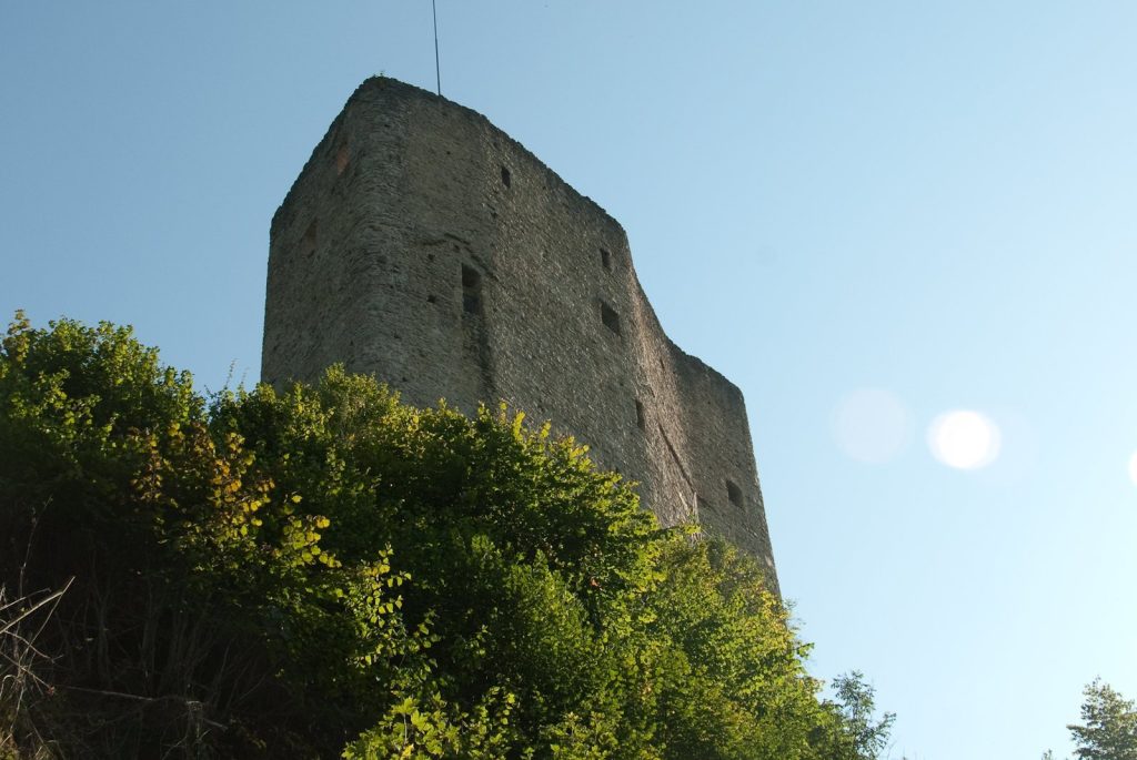 Gilgenberg Castle Ruin: A Medieval Administrative Castle in Switzerland 3 Gilgenberg castle ruin