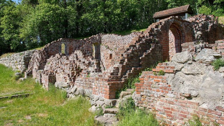 Antvorskov: Hospitaller Headquarters and Royal Castle in Denmark