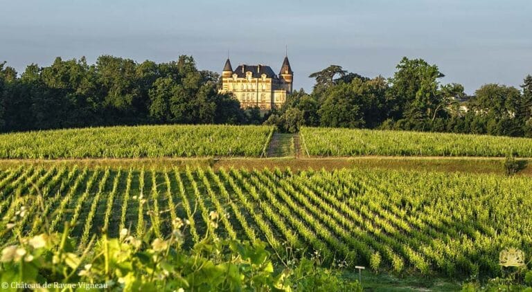 Château de Rayne-Vigneau: A Historic Sauternes Wine Estate in France