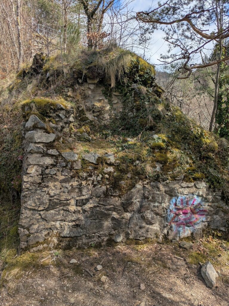 Falkenstein Castle: A Medieval Fortress Ruin in Germany