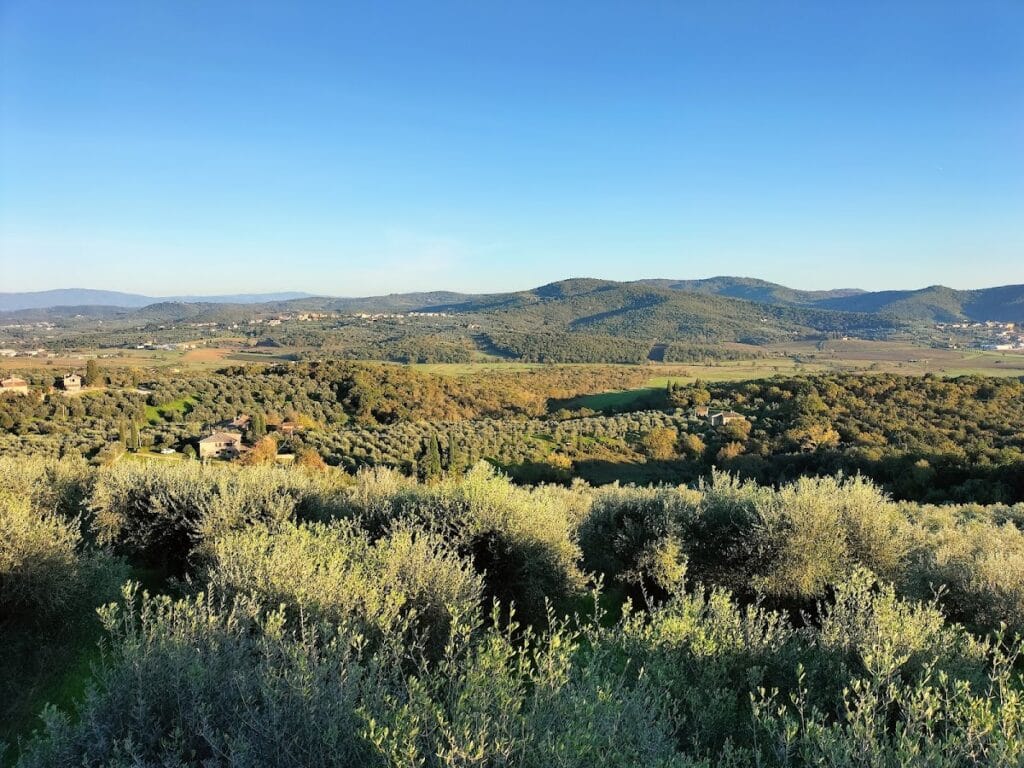 Montozzi Castle: A Historic Estate in Laterina Pergine Valdarno, Italy 10 Montozzi Castle