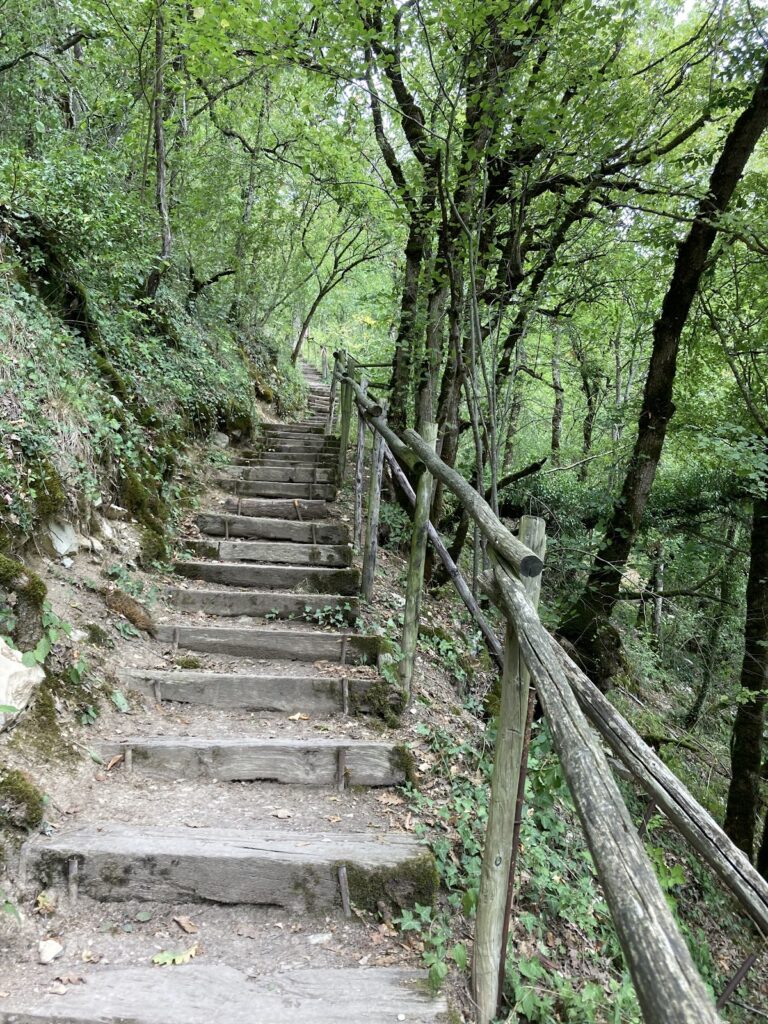 Château de Noyers-sur-Serein: A Medieval Fortress in Burgundy, France