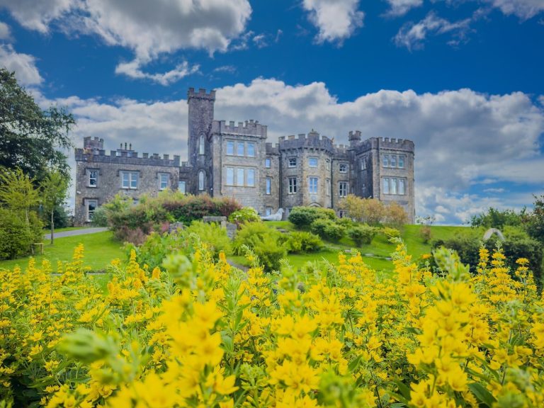 Killua Castle: An Irish Country House and Chapman Estate