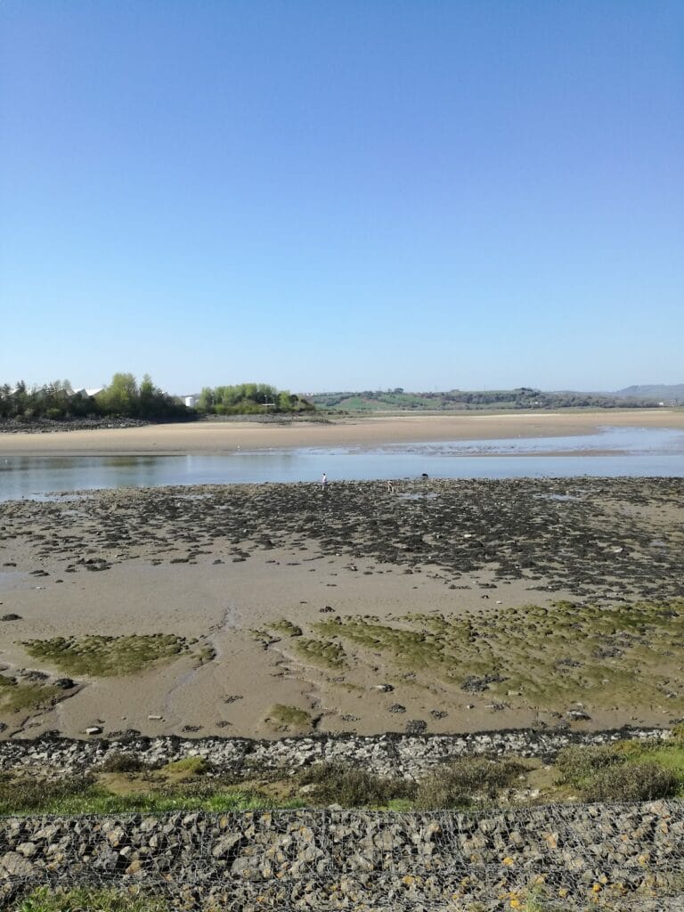 Loughor Castle: An Anglo-Norman Fortress in South Wales 5 Loughor Castle