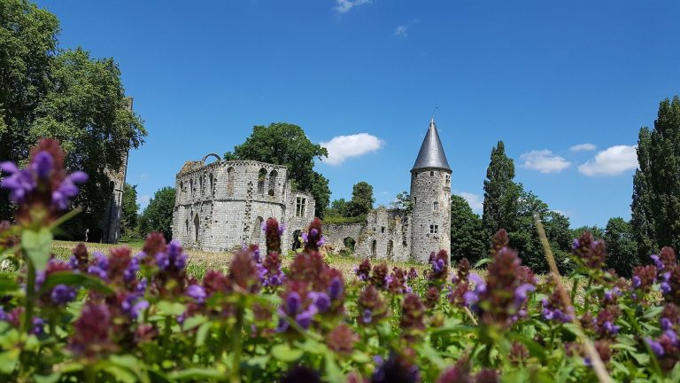 Château Royal du Vivier: A Gothic Royal Palace in France