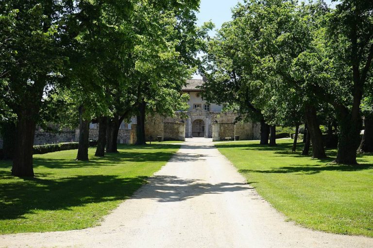 Château de La Gallée: A Historic Vineyard Estate in Millery, France