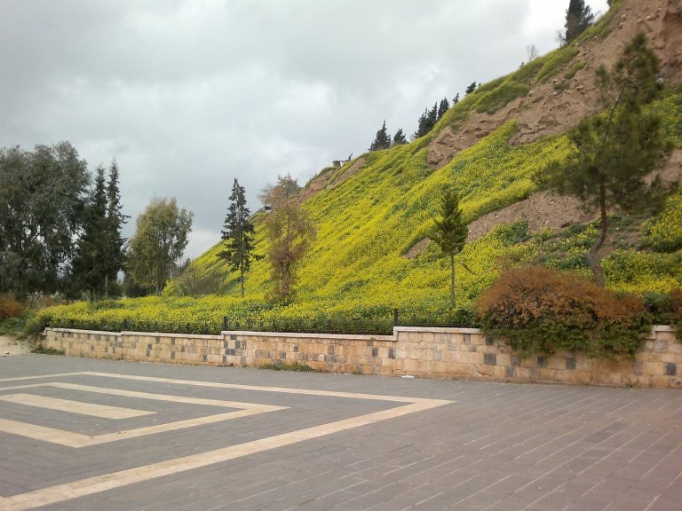 Hama Castle: The Ancient Citadel of Hama, Syria