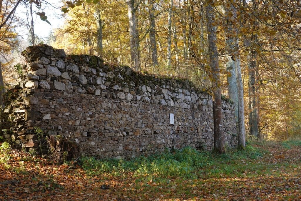 Příběnice: A Gothic Rožmberk Castle in Czechia 1 Příběnice