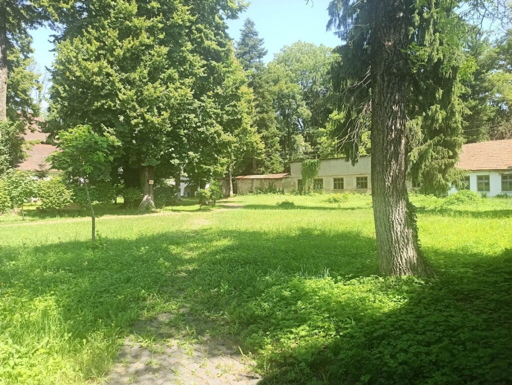 Dolha Castle: A Baroque Palace-Fortress in Ukraine 9 Dolha Castle in Dovhe