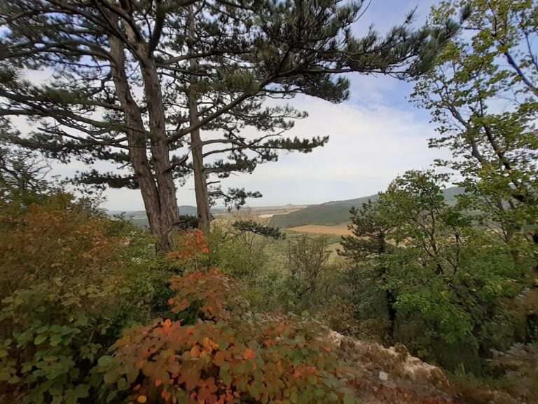 Hegyesdi Castle: A Medieval Fortress in Hungary