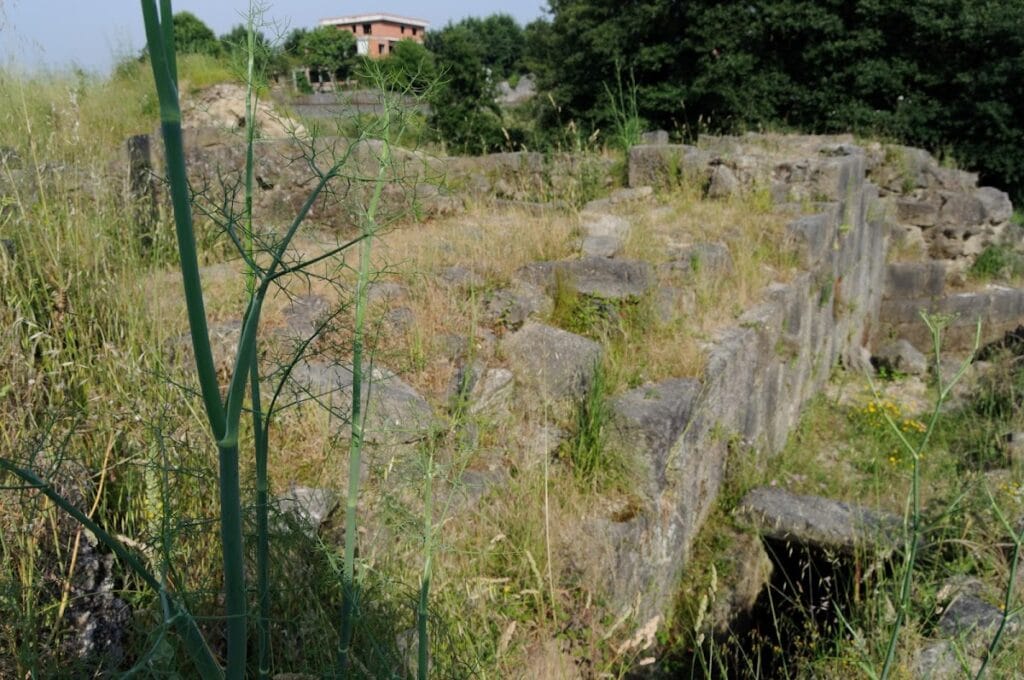 Castle da Rocha Forte