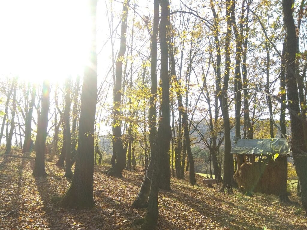 Obišovský hrad: A Medieval Castle in Slovakia 5 Obišovský hrad
