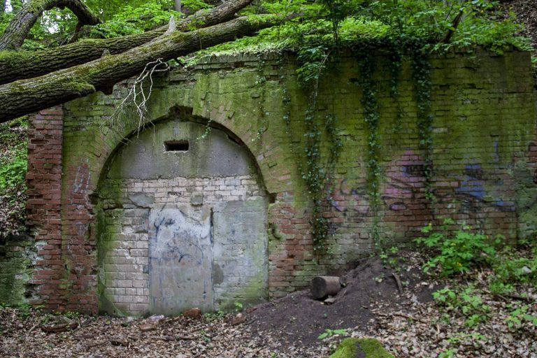 Alte Veste: A Medieval Fortified Site and Observation Tower in Germany