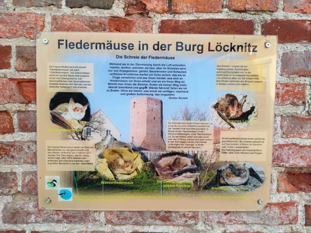 Löcknitz Castle: A Medieval Lowland Fortress in Germany 5 Löcknitz Castle