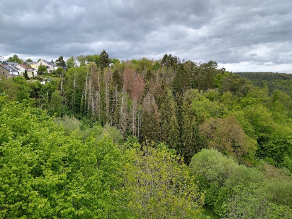 Hollenfels Castle: Medieval Fortress and Youth Center in Luxembourg 4 Hollenfels Castle