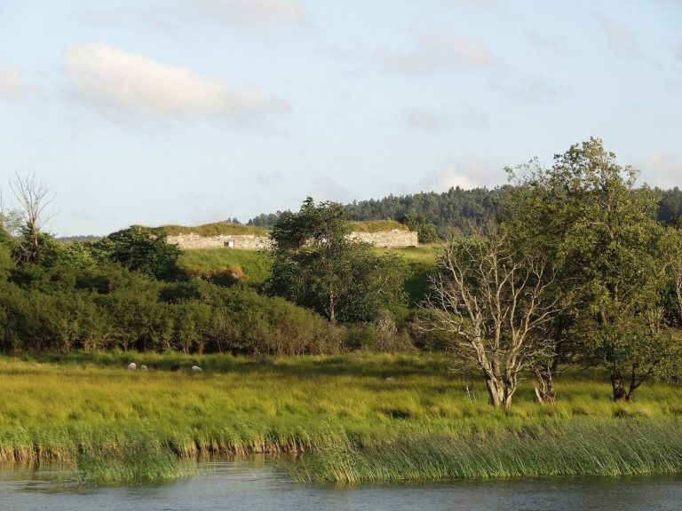 Ragnhildsholmen: A Medieval Norwegian Fortress in Sweden