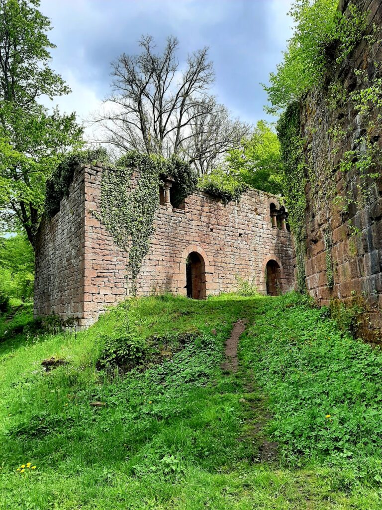 Burg Eberbach: A Medieval Castle Complex in Germany