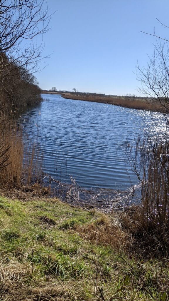 Camber Castle: A Tudor Artillery Fort in England 10 Camber Castle