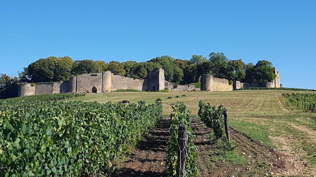 Château d'Arlay: An Eighteenth-Century Château-Vineyard in France 4 Château d'Arlay