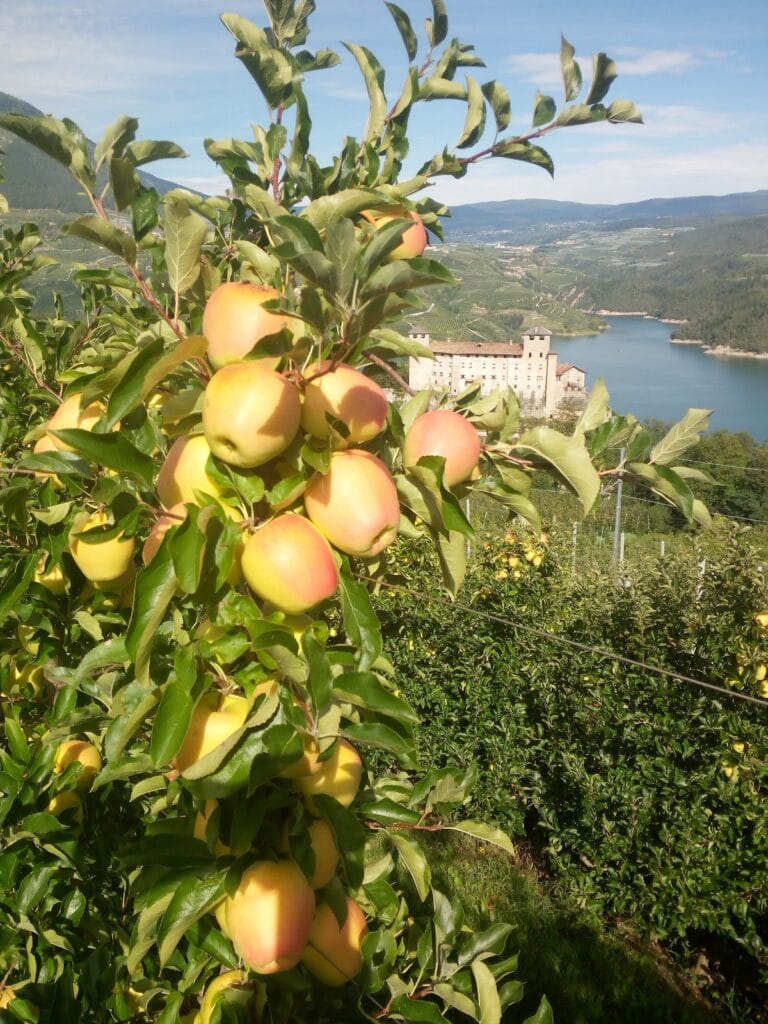 Castel Cles: A Medieval Castle and Renaissance Residence in Italy 4 Castel Cles