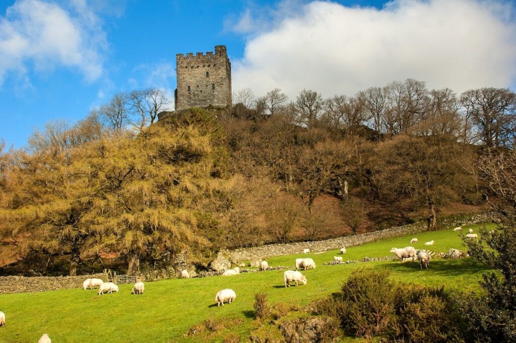 Dolwyddelan Castle: A Welsh Princes’ Stronghold in Wales 3 Dolwyddelan Castle