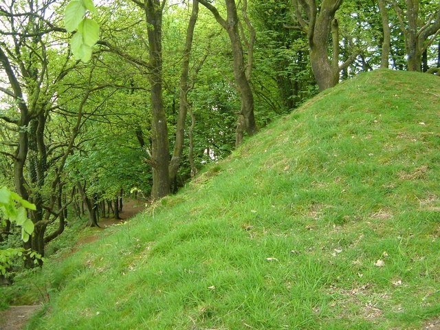 Castle Neroche: Norman Castle and Earthwork Monument in Somerset