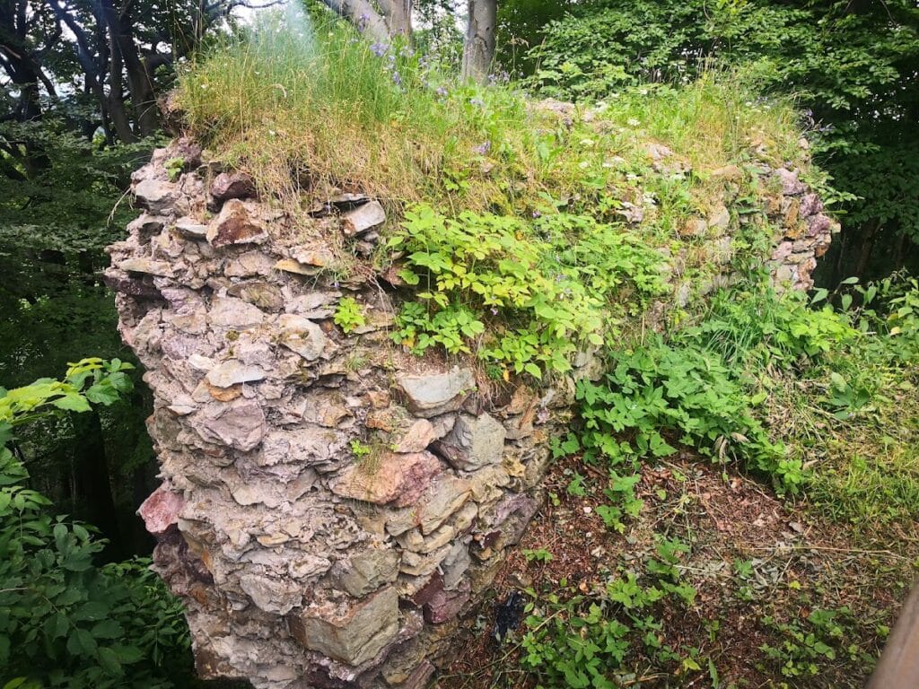 Lordship of Hummel: A Medieval Territory and Castle District in Poland 5 Lordship of Hummel