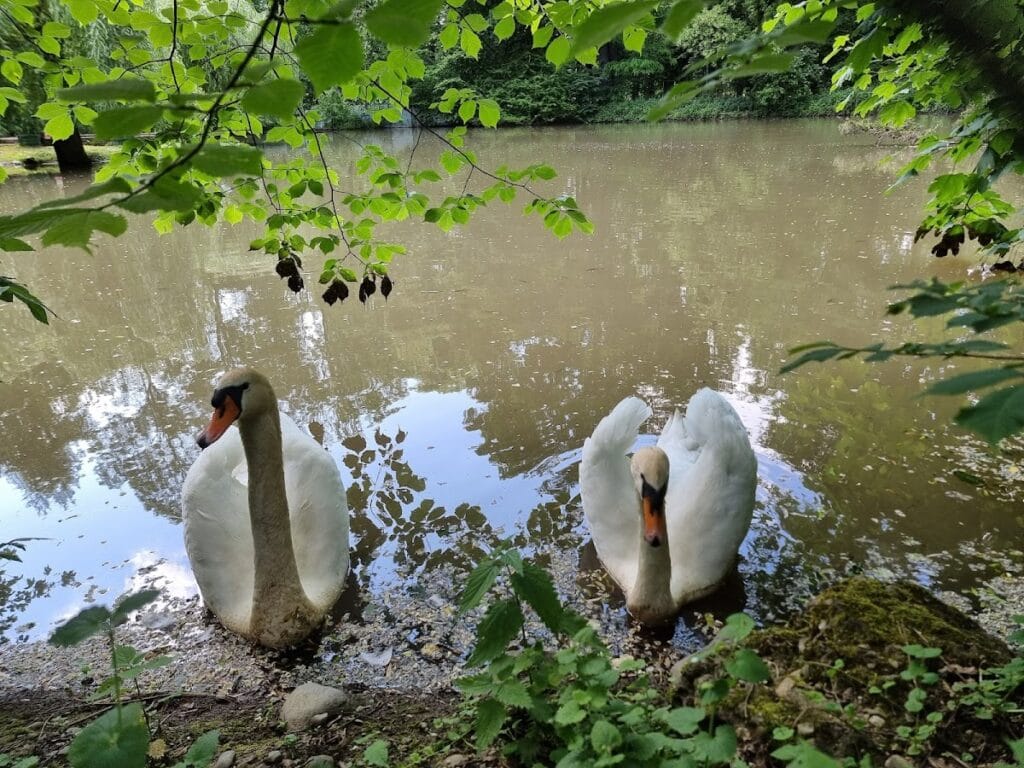 Bornemissza castle in Gurghiu