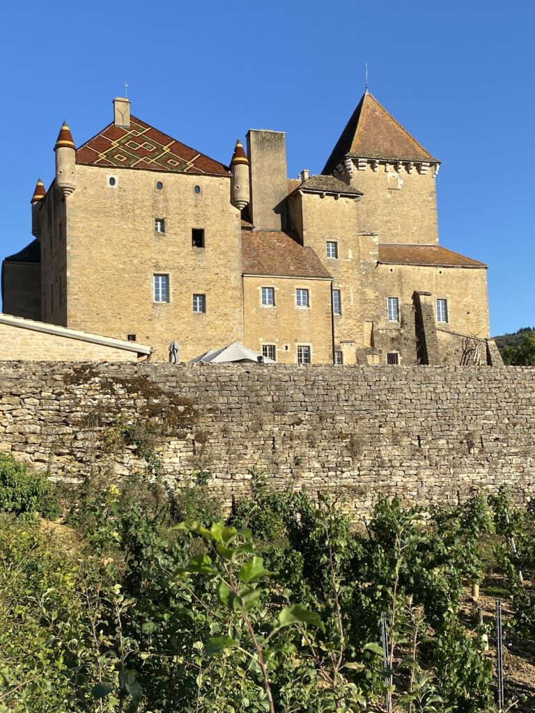 Château de Pierreclos: A Historic Castle in France 8 Château de Pierreclos