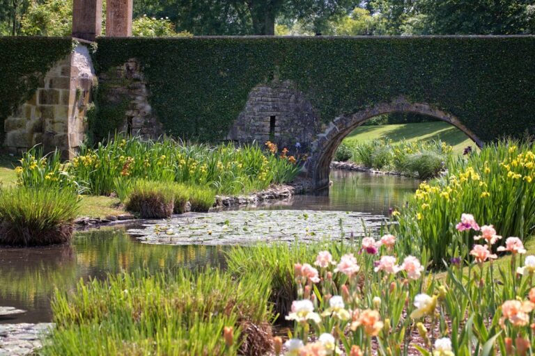 Château de Pesselières: A Historic Medieval Estate in Jalognes, France