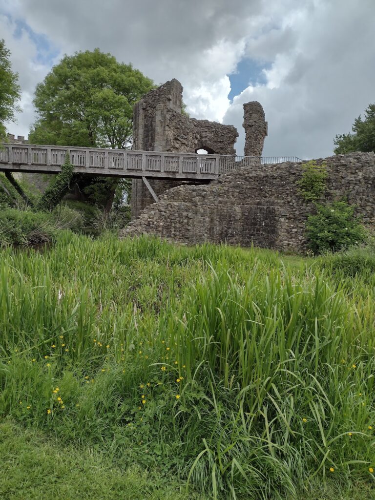 Whittington Castle