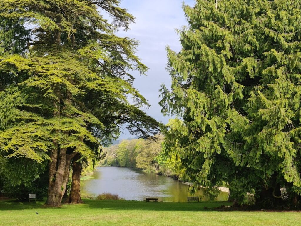 Friars Carse: A Historic Estate and Country-House Hotel in Dumfriesshire 3 Friars Carse