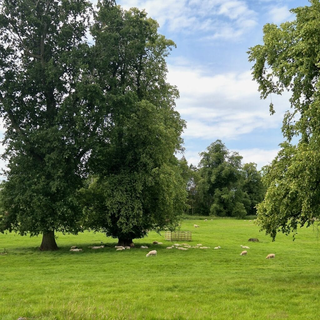 Thirlestane Castle: A Scottish Border Residence and Seat of the Earls of Lauderdale 5 Thirlestane Castle