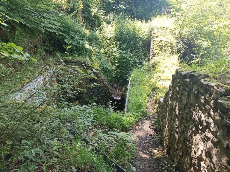 Pieniński Castle (Zamek Pieniński): A Medieval Mountain Refuge in Poland
