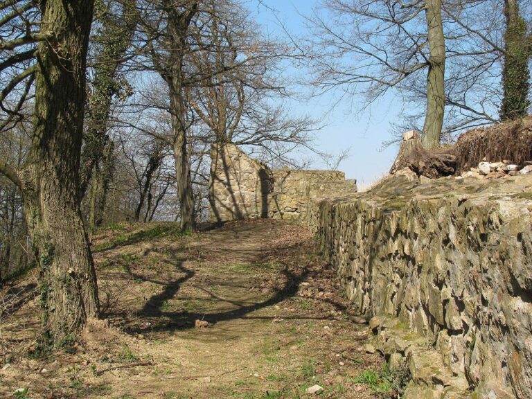 Burg Tannenberg: A Medieval Hilltop Castle in Germany