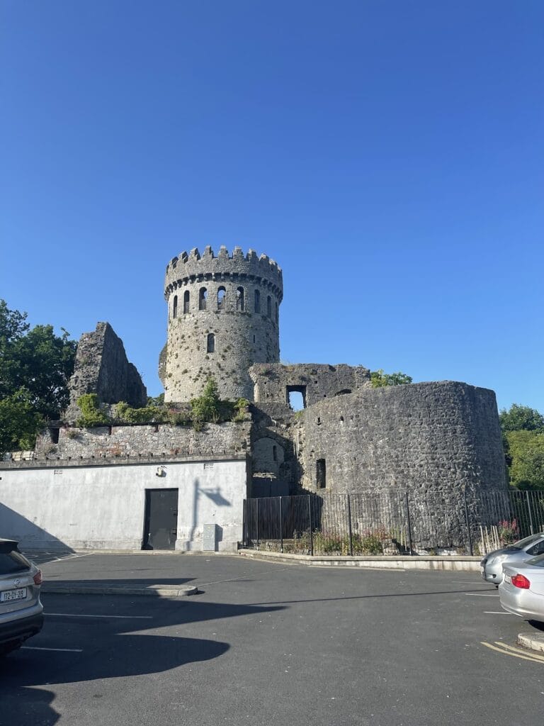 Nenagh Castle
