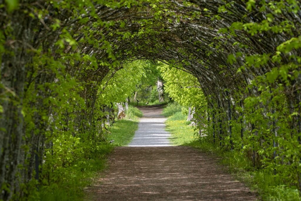 Ängsö Castle: A Historic Swedish Stronghold and Museum 9 Ängsö Castle