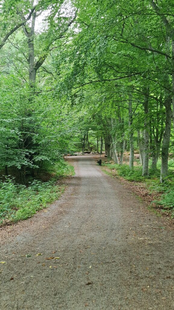 Ekebyhov Castle: A Historic Manor Estate on Ekerön Island, Sweden 10 Ekebyhov Castle