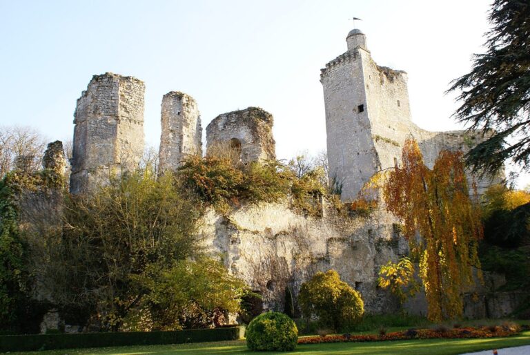 Château de Vendôme: A Medieval Fortress and Ruined Castle in France