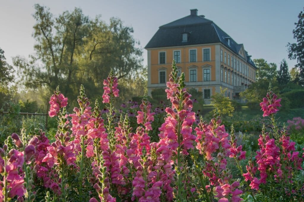 Nynäs Castle: A Swedish Manor Estate and Historic Residence 1 Nynäs Castle