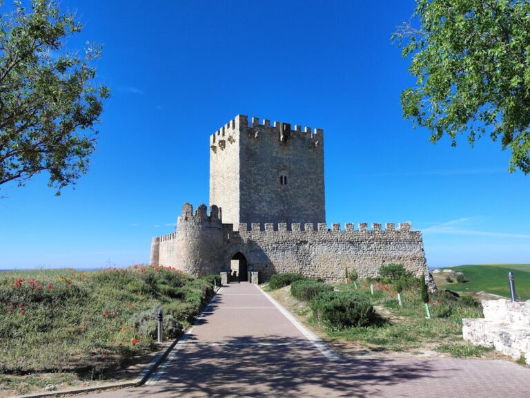 Castle of Tiedra: A Medieval Fortress in Spain