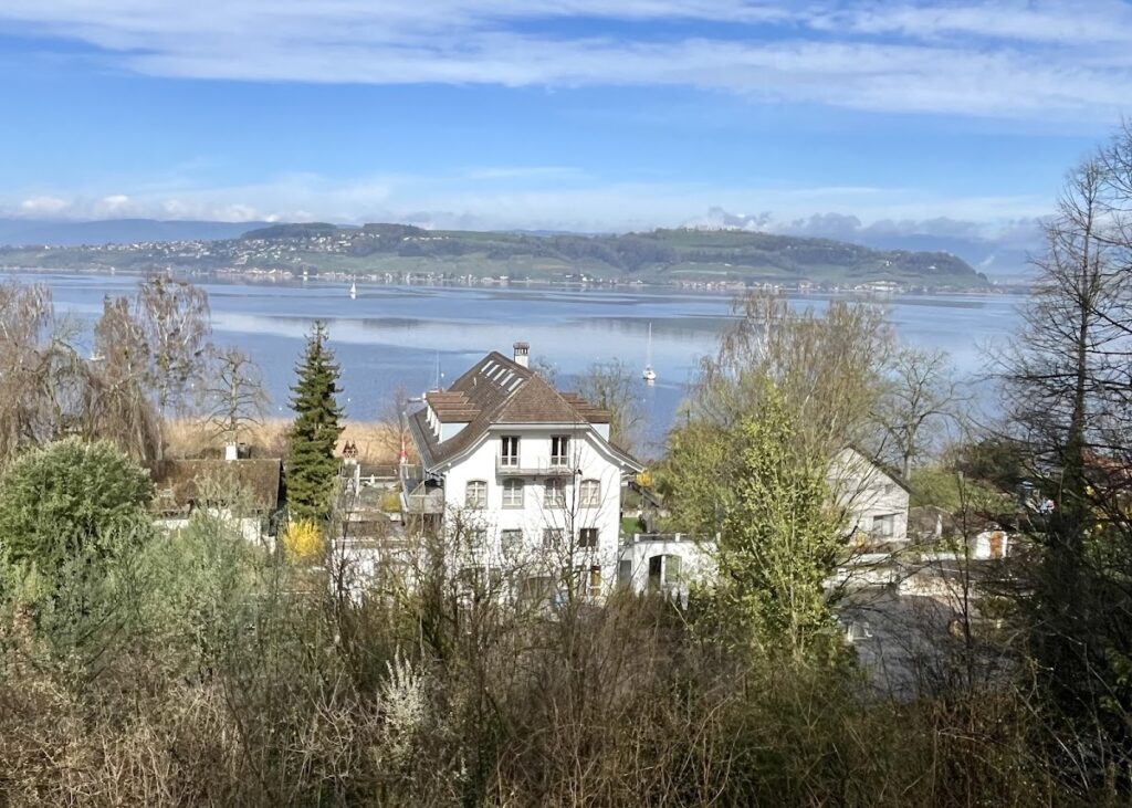 Morat Castle: A Medieval Fortress and Administrative Center in Switzerland 9 Morat Castle