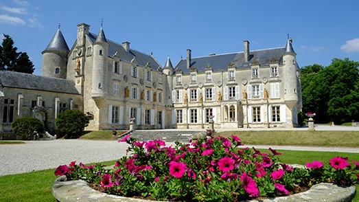 Castle of Terre-Neuve: A Historic Renaissance Château in Fontenay-le-Comte, France