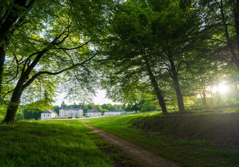 Château de Kerguéhennec: An 18th-Century Estate and Cultural Site in Bignan, France