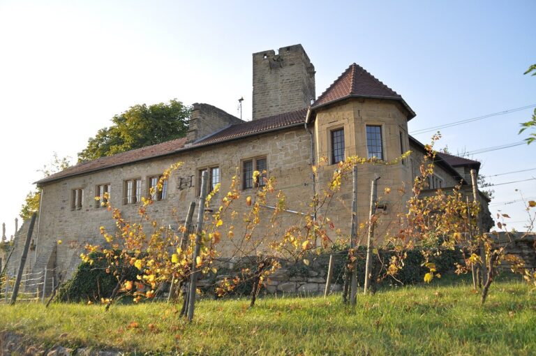 Ravensburg: The Ancestral Castle of the Göler von Ravensburg Family