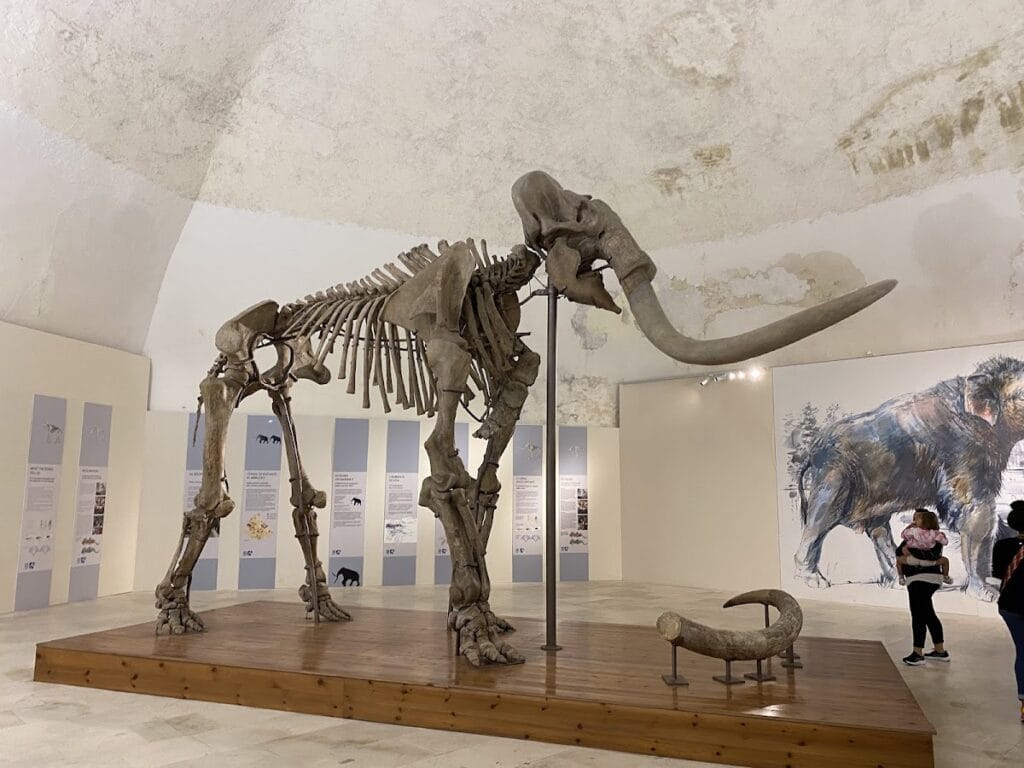 Forte Spagnolo: A Historic Spanish Fortress in L’Aquila, Italy 8 Forte Spagnolo