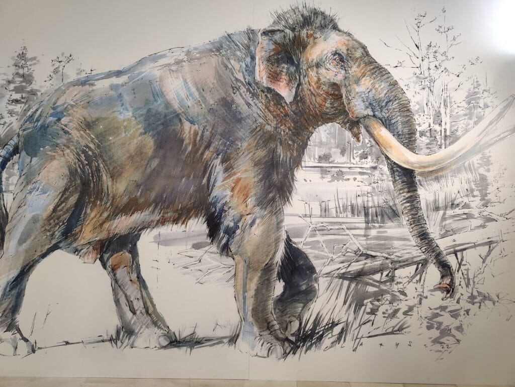 Forte Spagnolo: A Historic Spanish Fortress in L’Aquila, Italy 10 Forte Spagnolo