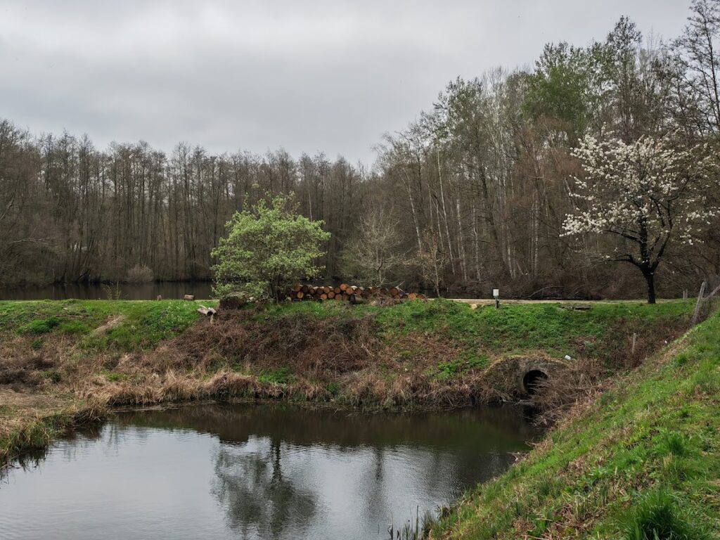 Château de la Chasse: A Medieval Fortress near Saint-Prix, France 10 Château de la Chasse