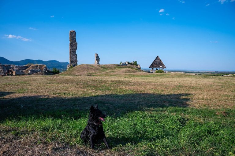 Castle of Nógrád: A Medieval Royal and Ottoman-Era Fortress in Hungary