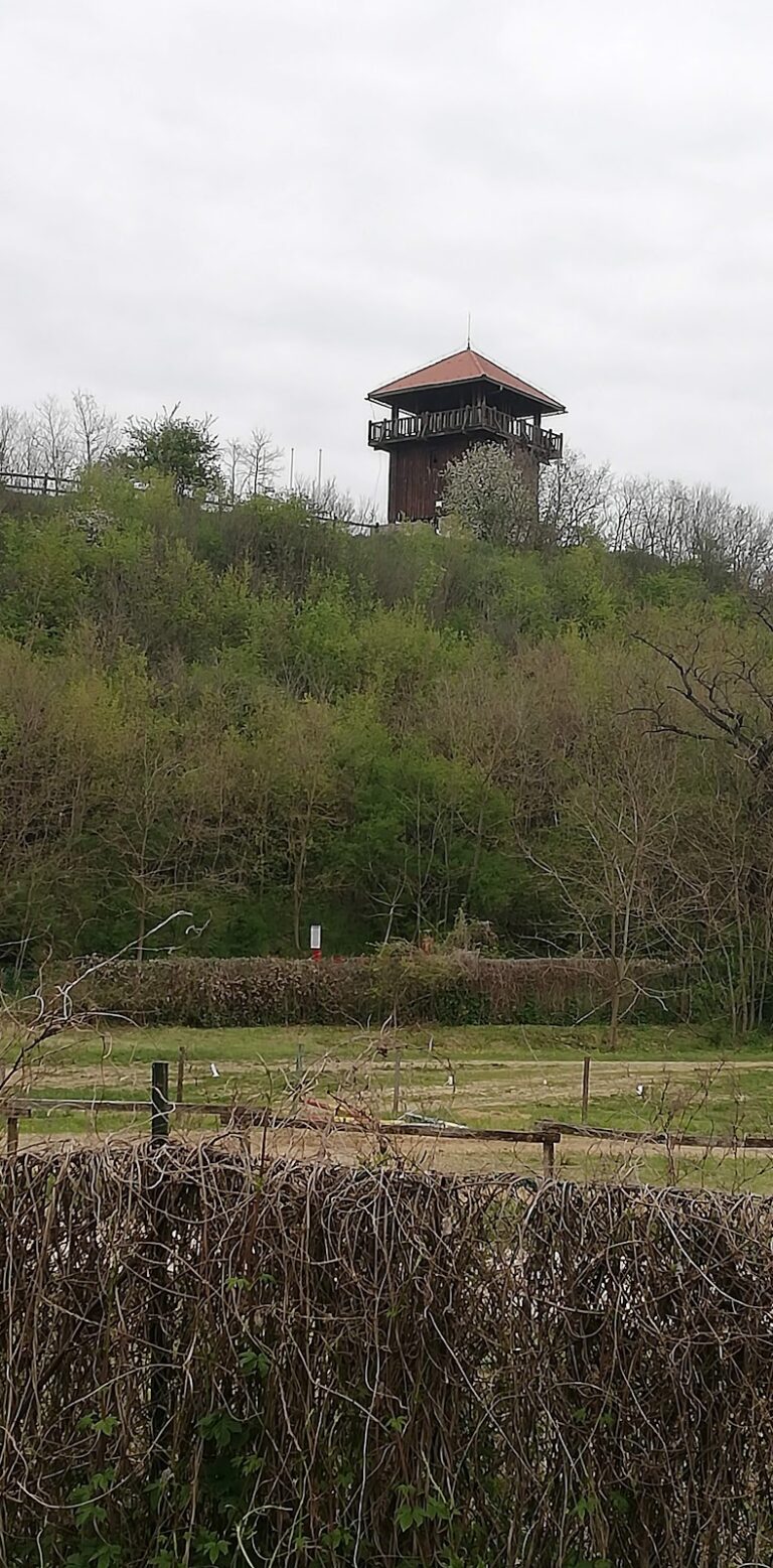 Castle of Solymár: A Medieval Fortress in Hungary